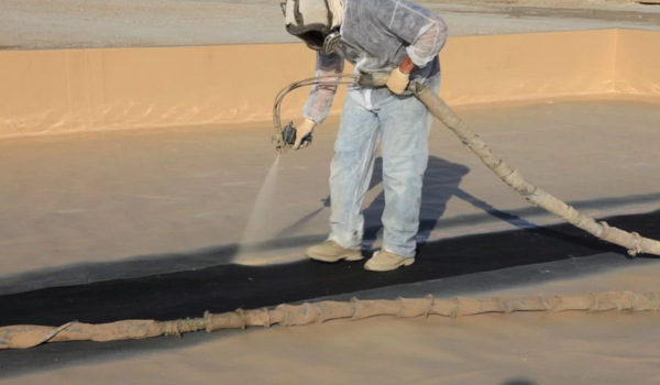 تصميم بدون عنوان (29)